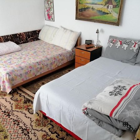 Rustic House Apartment Turnu Magurele Exterior photo