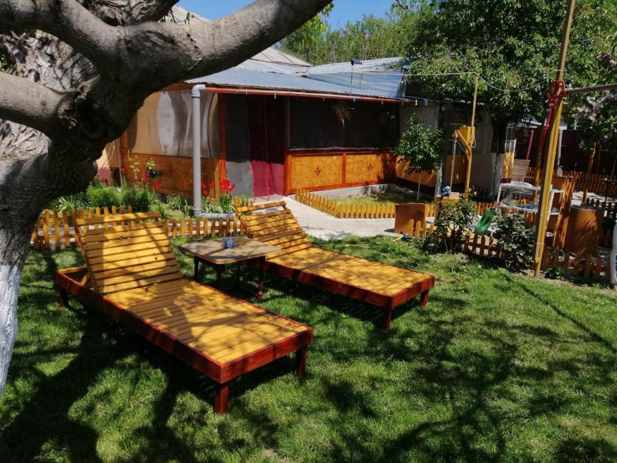 Rustic House Apartment Turnu Magurele Exterior photo