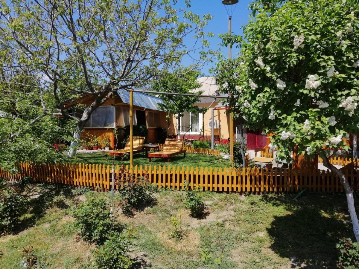 Rustic House Apartment Turnu Magurele Exterior photo