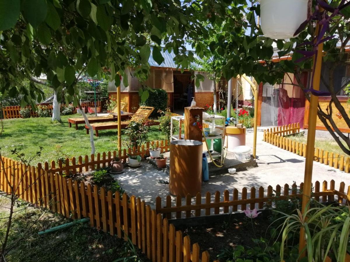 Rustic House Apartment Turnu Magurele Exterior photo