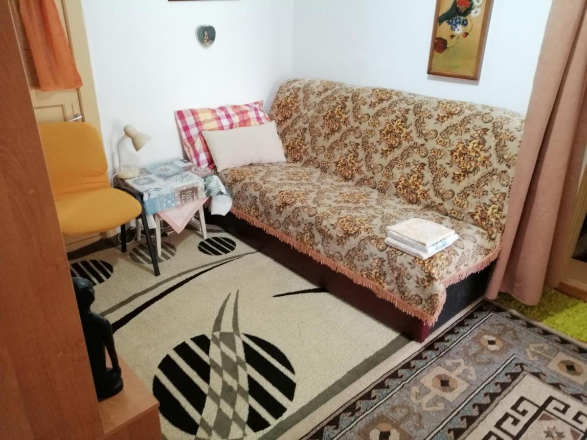 Rustic House Apartment Turnu Magurele Exterior photo