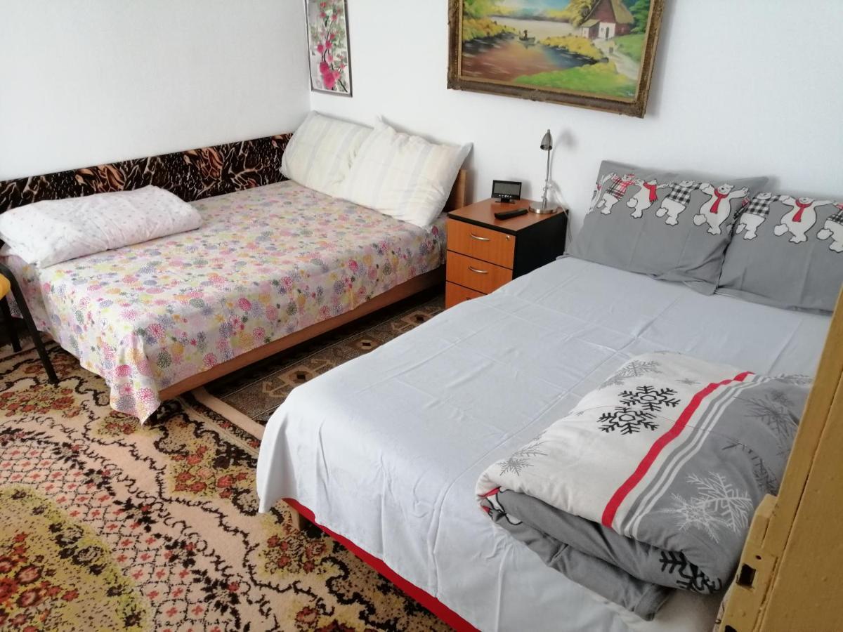 Rustic House Apartment Turnu Magurele Exterior photo